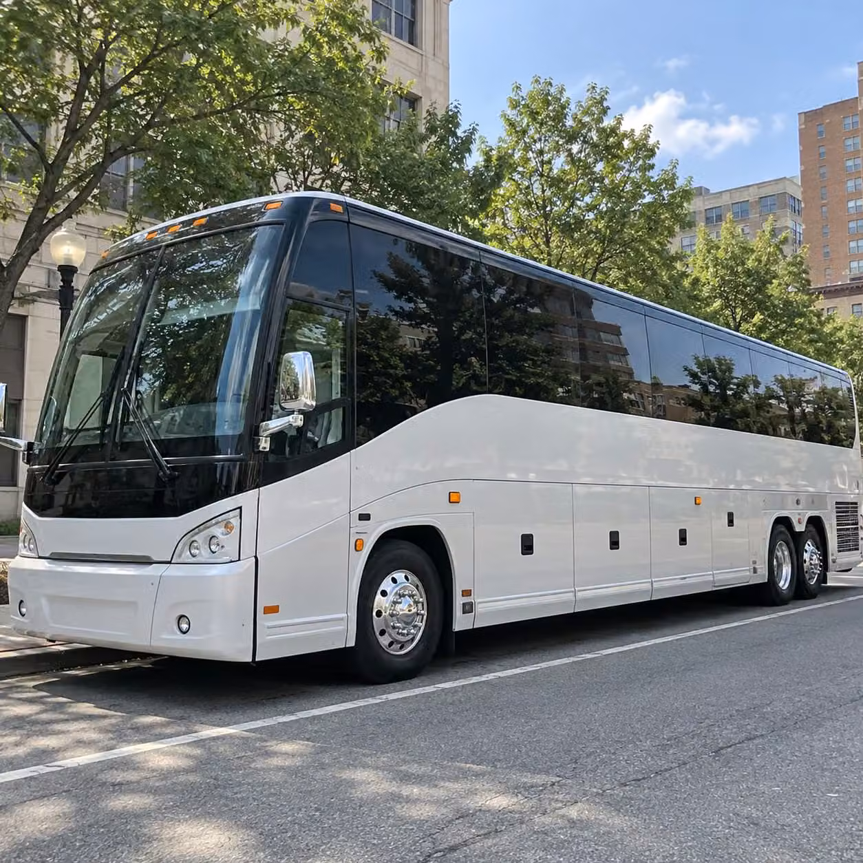 charter bus rentals for large redondo beach prom groups and school organized transportation