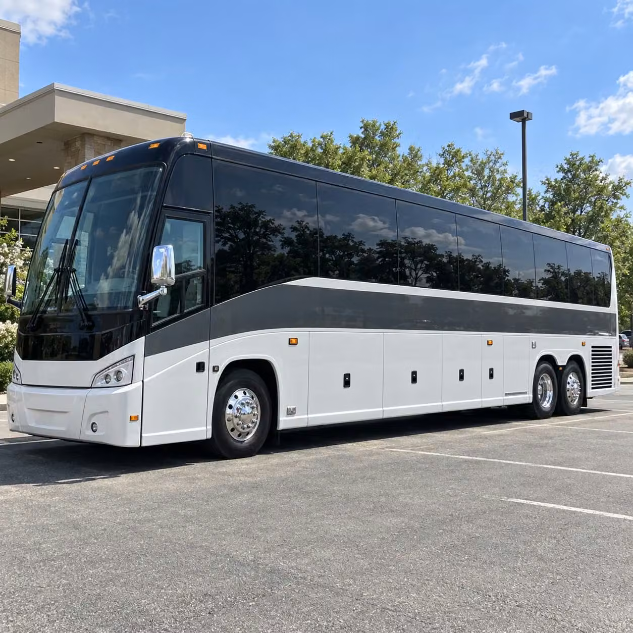 why redondo beach teachers trust redondobeachcharterbuscompany com for hassle free field trip logistics